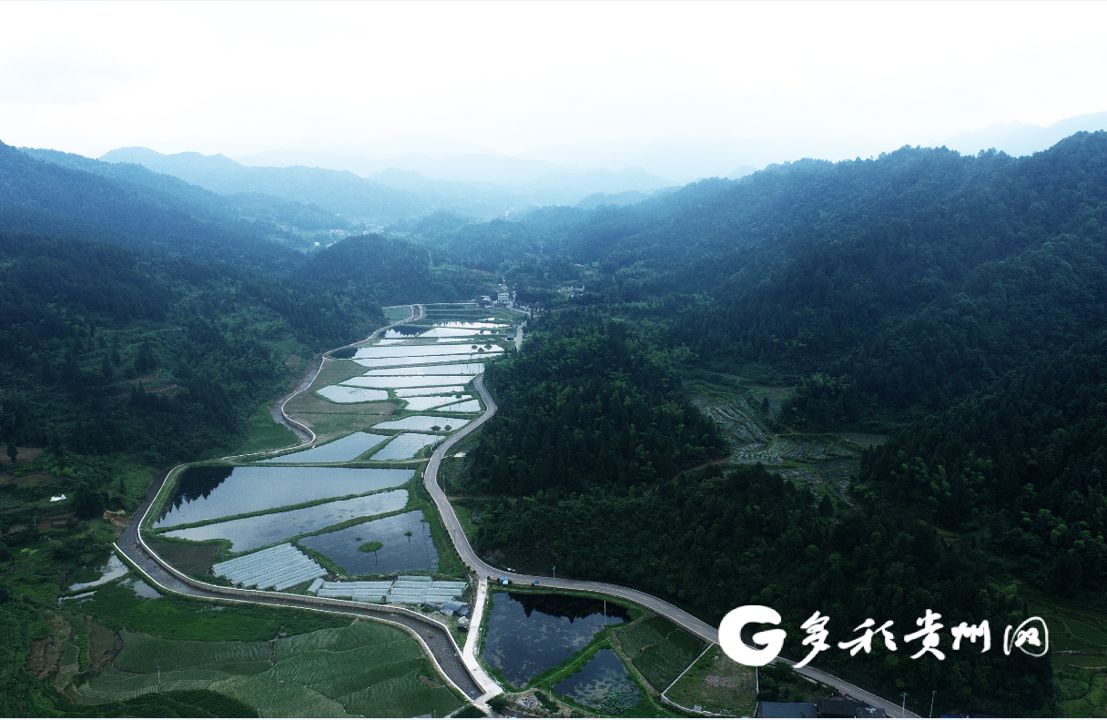 提速度、見力度、推進度 從三個維度看銅仁“四好農(nóng)村路”